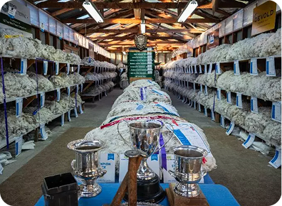 Screenshot 2025-03-05 at 12.51.35 PM 1